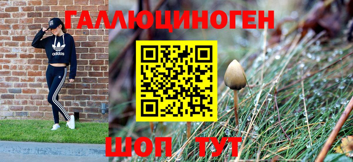 Псилоцибиновые грибы прущие грибы  Вход с VPN  Троицк  Псилоцибиновые грибы прущие грибы 
